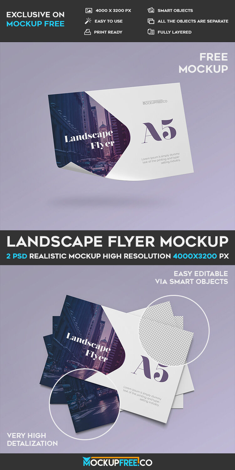 2 Mockups Featuring A5 Landscape Flyers in Different Views preview