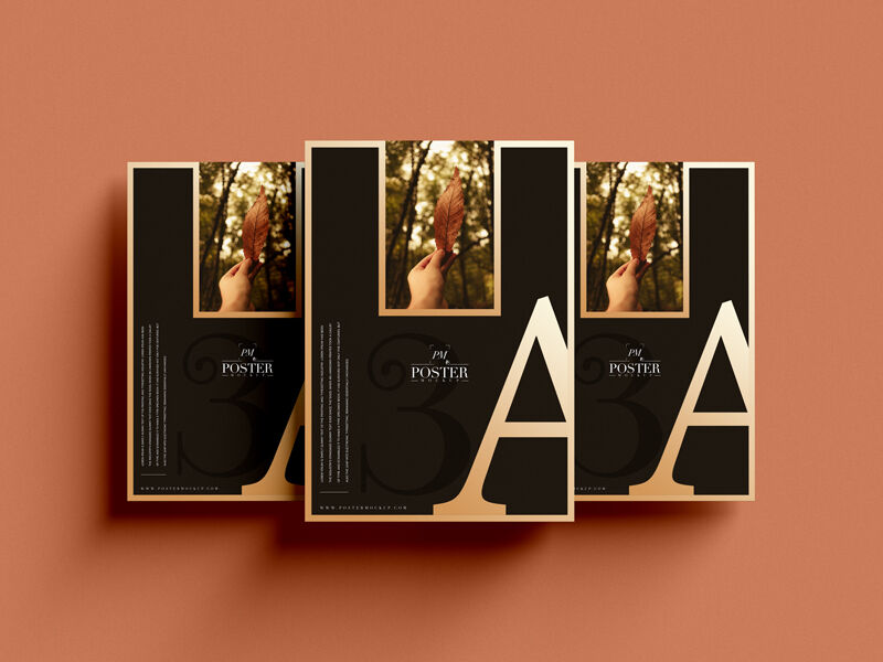 A3 Poster Mockup for Presentation