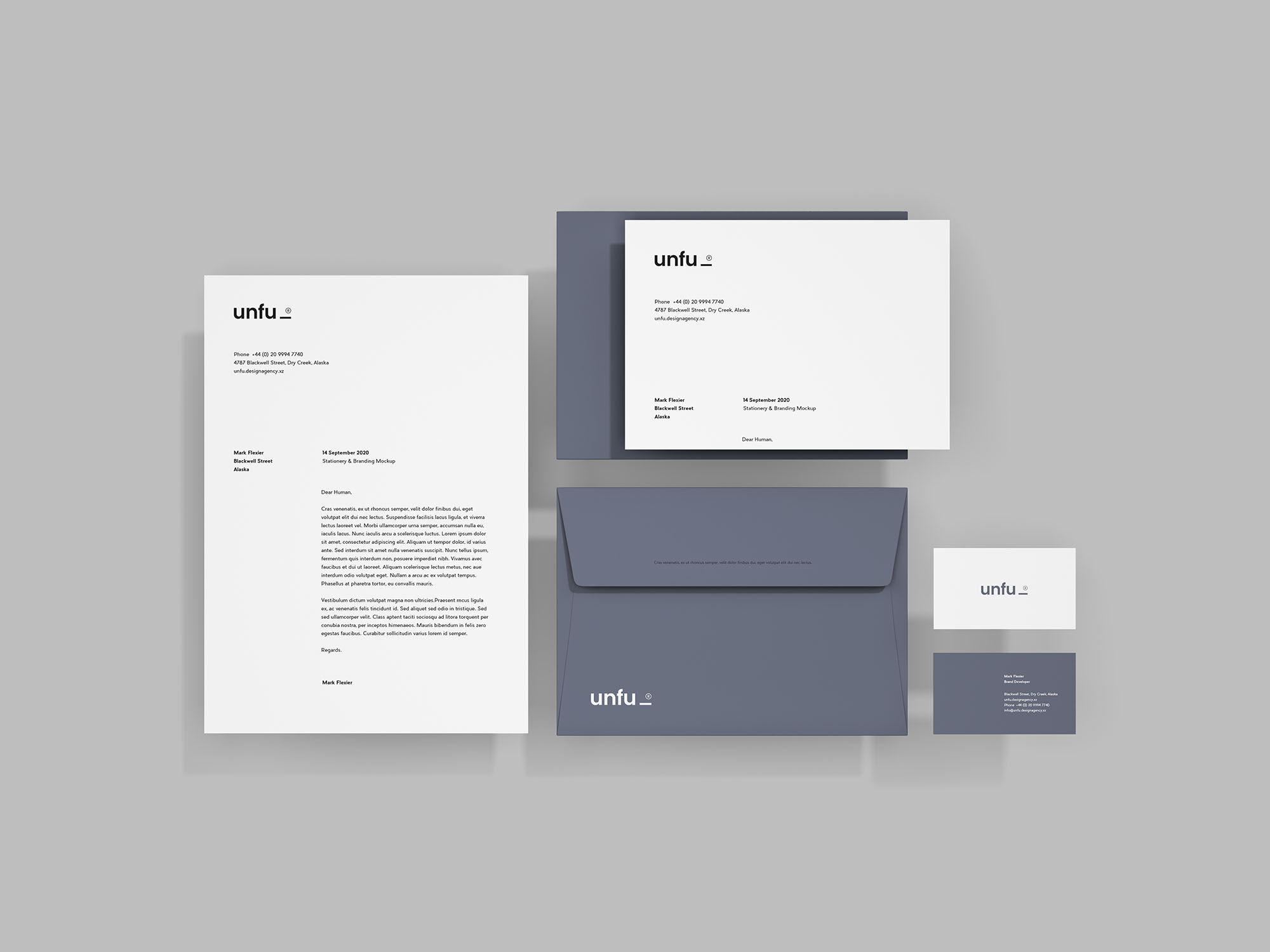 Minimalistic and Simple Branding Mockup preview
