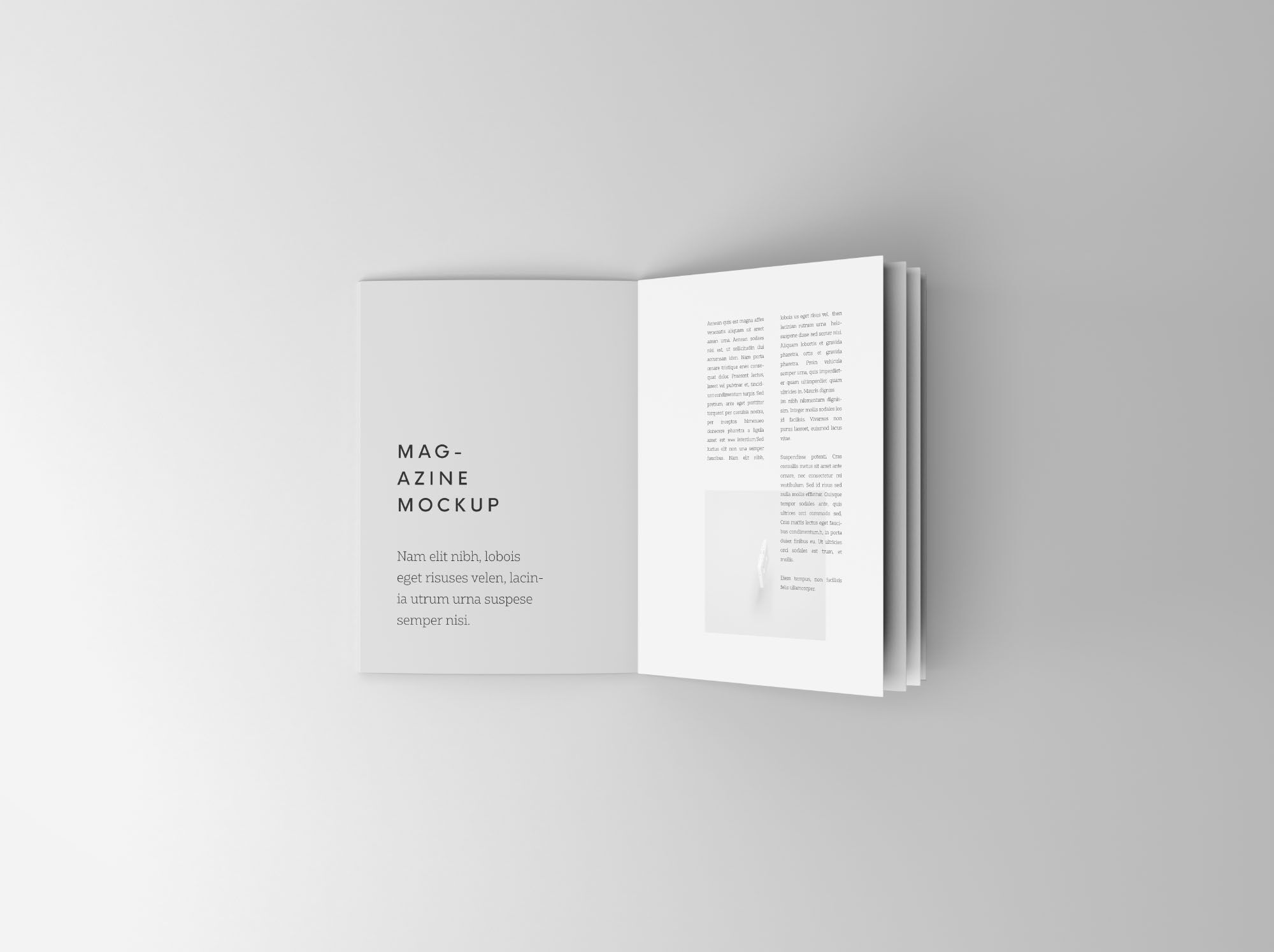 Overhead View of an Open Booklet Mockup