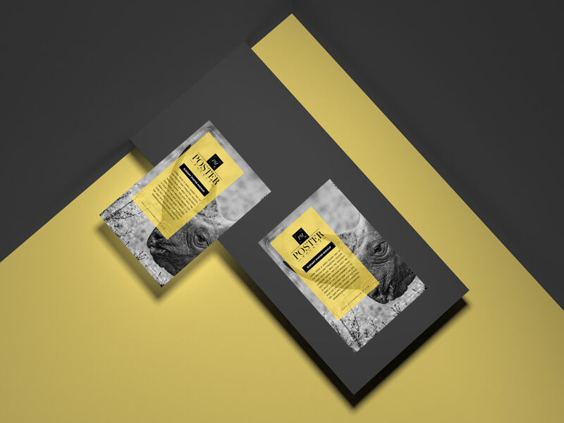 Preview 2