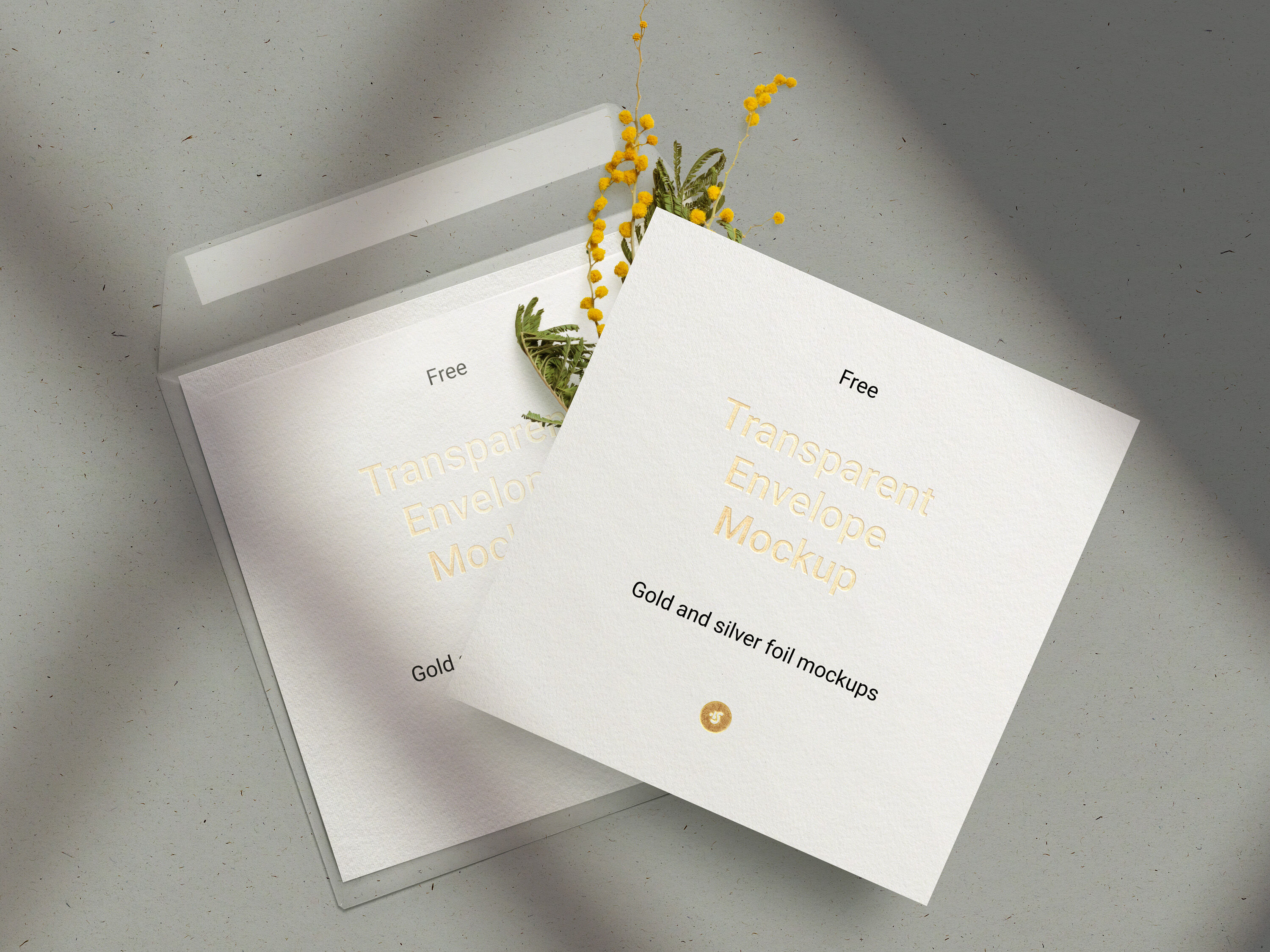Cards and Transparent Envelop Decorated with Flower and Overlaid Shadow Mockup
