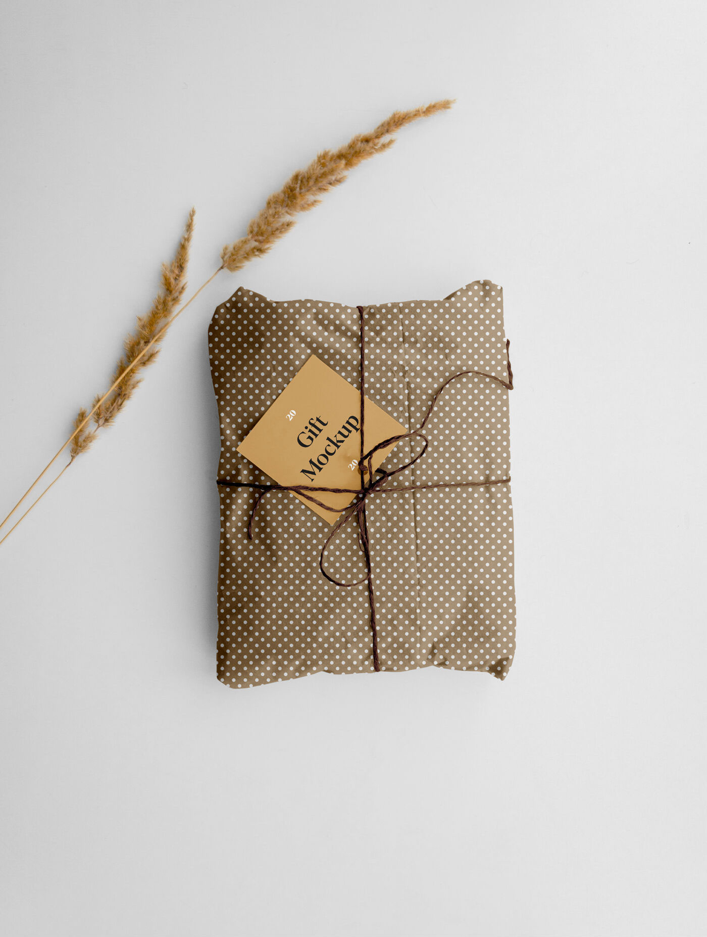 Gift Mockup with a Thread Bow