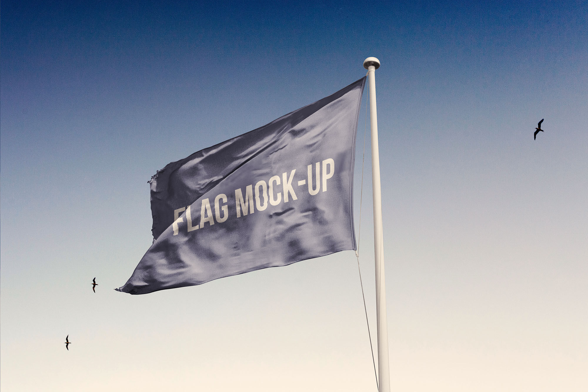 Simple Realistic Flag Mockup preview
