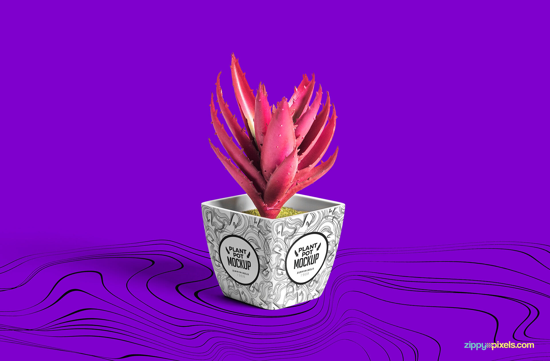 Creative Plant Pot Design Mockup