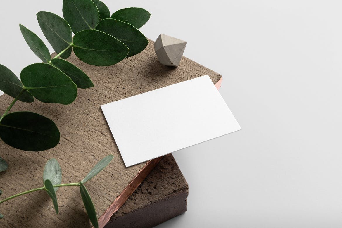 Business Card Mockup with Wood and Plant Background