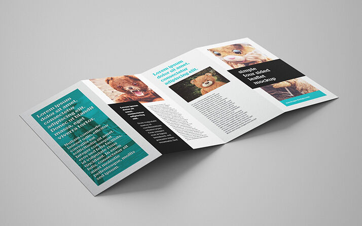 5 Shots of Four-Panel Leaflets Mockup preview