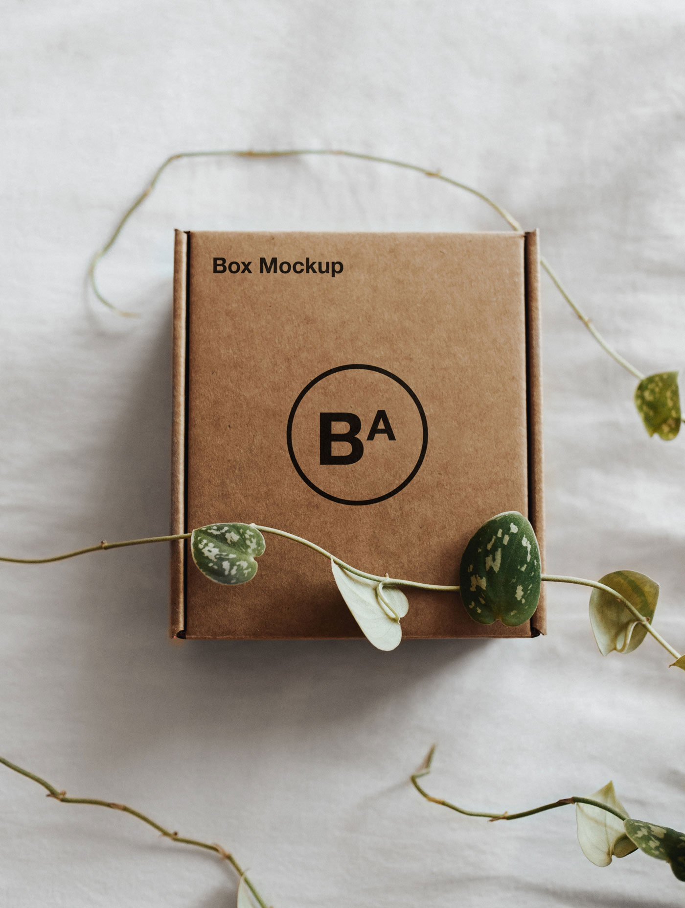 Mockup of a Craft Paper Box Decorated with Ivy