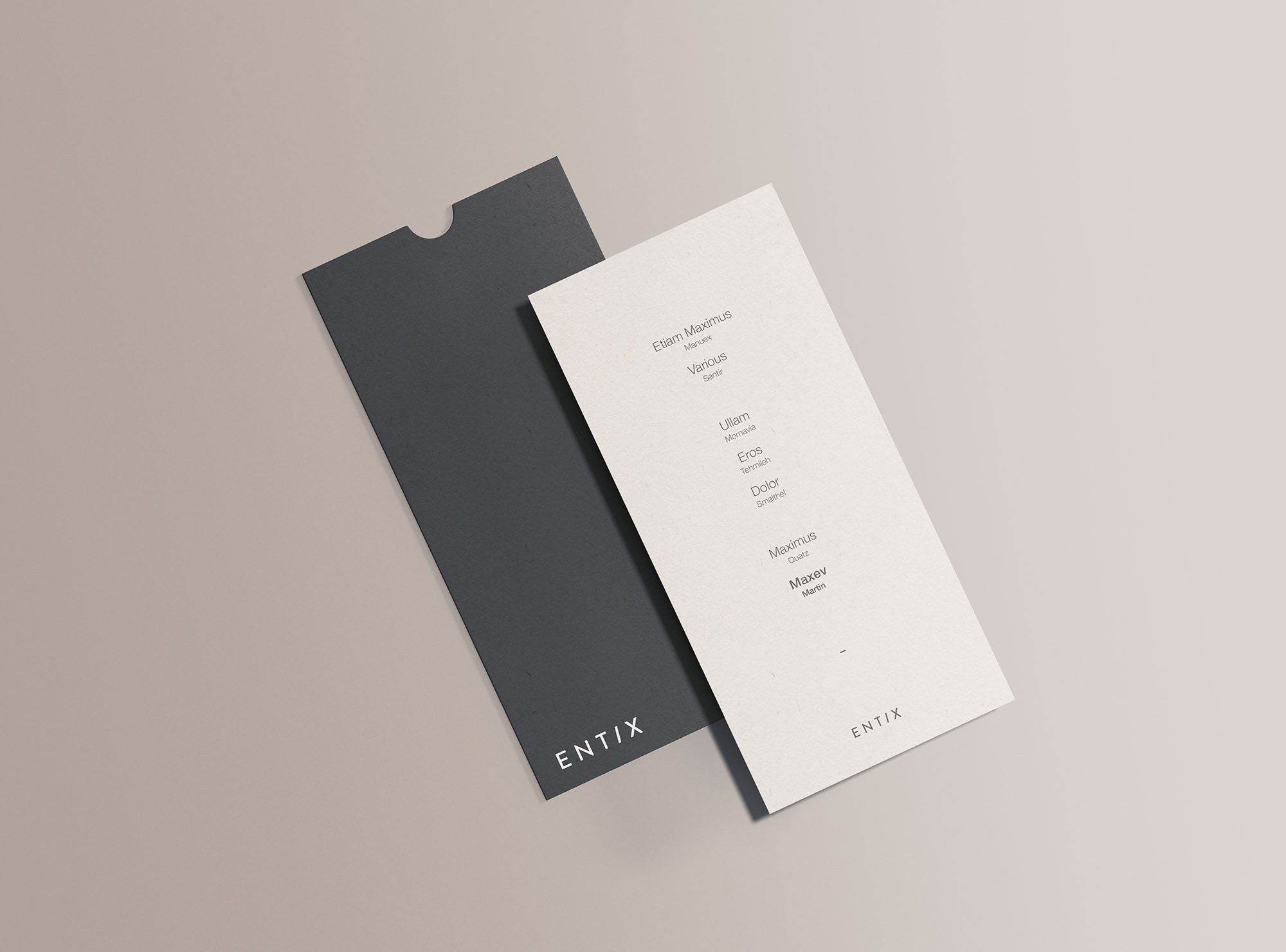 DL Vertical Flyer Mockup with a Sliding Cover