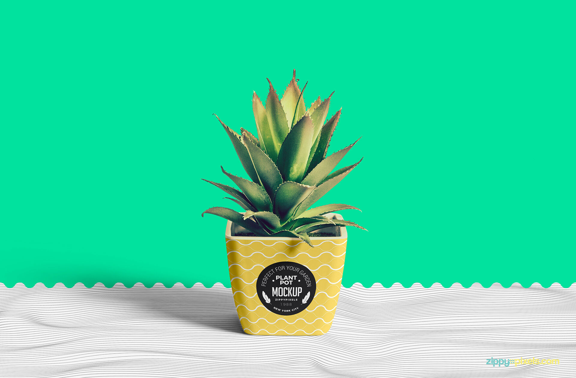 Realistic Flower Pot Mockup