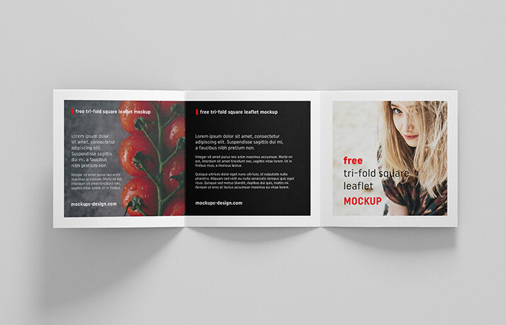 Square Trifold Leaflet with Clean Look and Plain Background Mockup