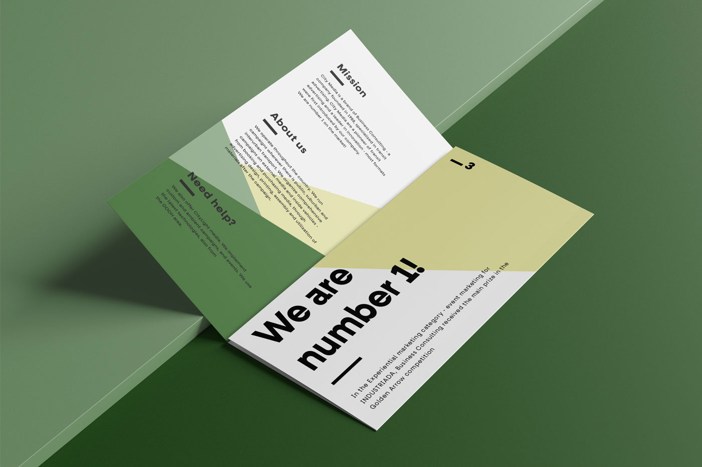 Spread Opened Trifold Brochure Mockup