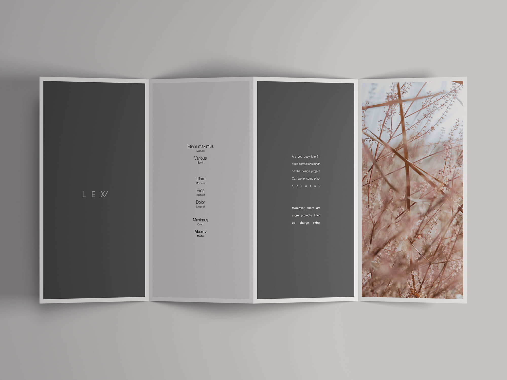 4 Folded Stunning Open Brochure Mockup