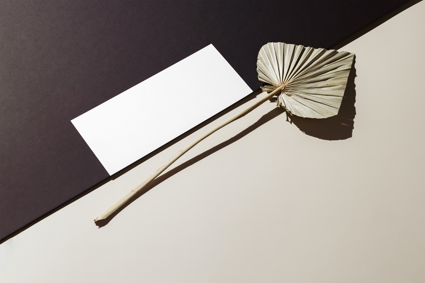Perspective View of Oblong Paper Card Mockup with Leaf preview
