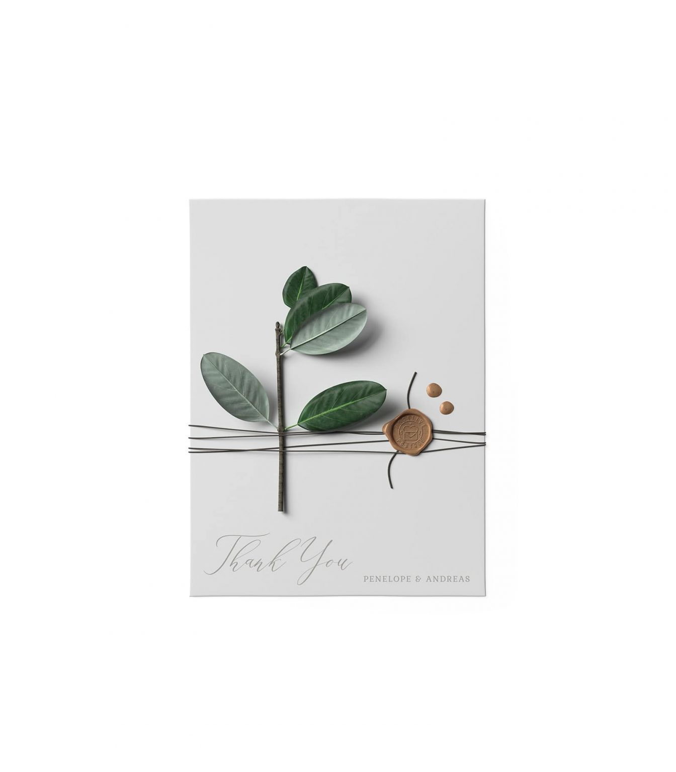 Top View of Ficus on a Waxed Envelope Mockup preview