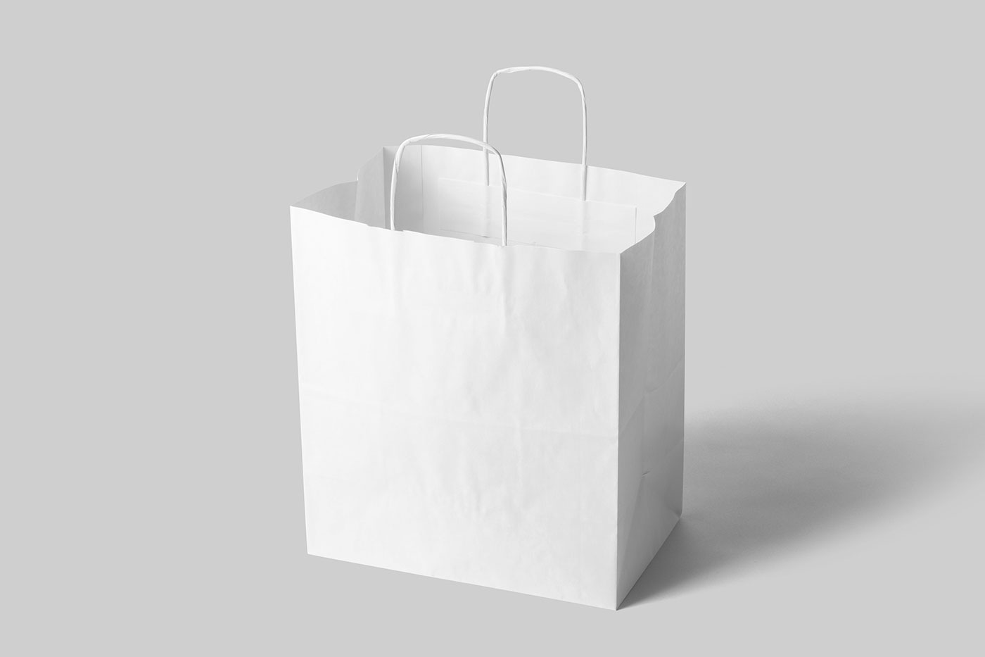 Standing Big Paper Bag Mockup preview
