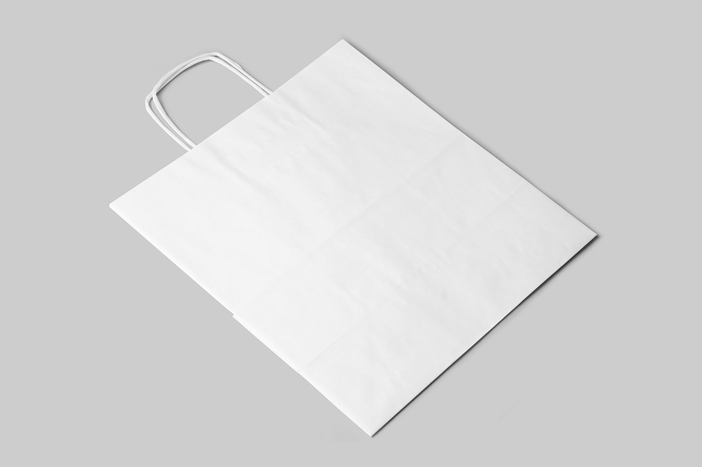 Paper Bag in Perspective Mockup preview