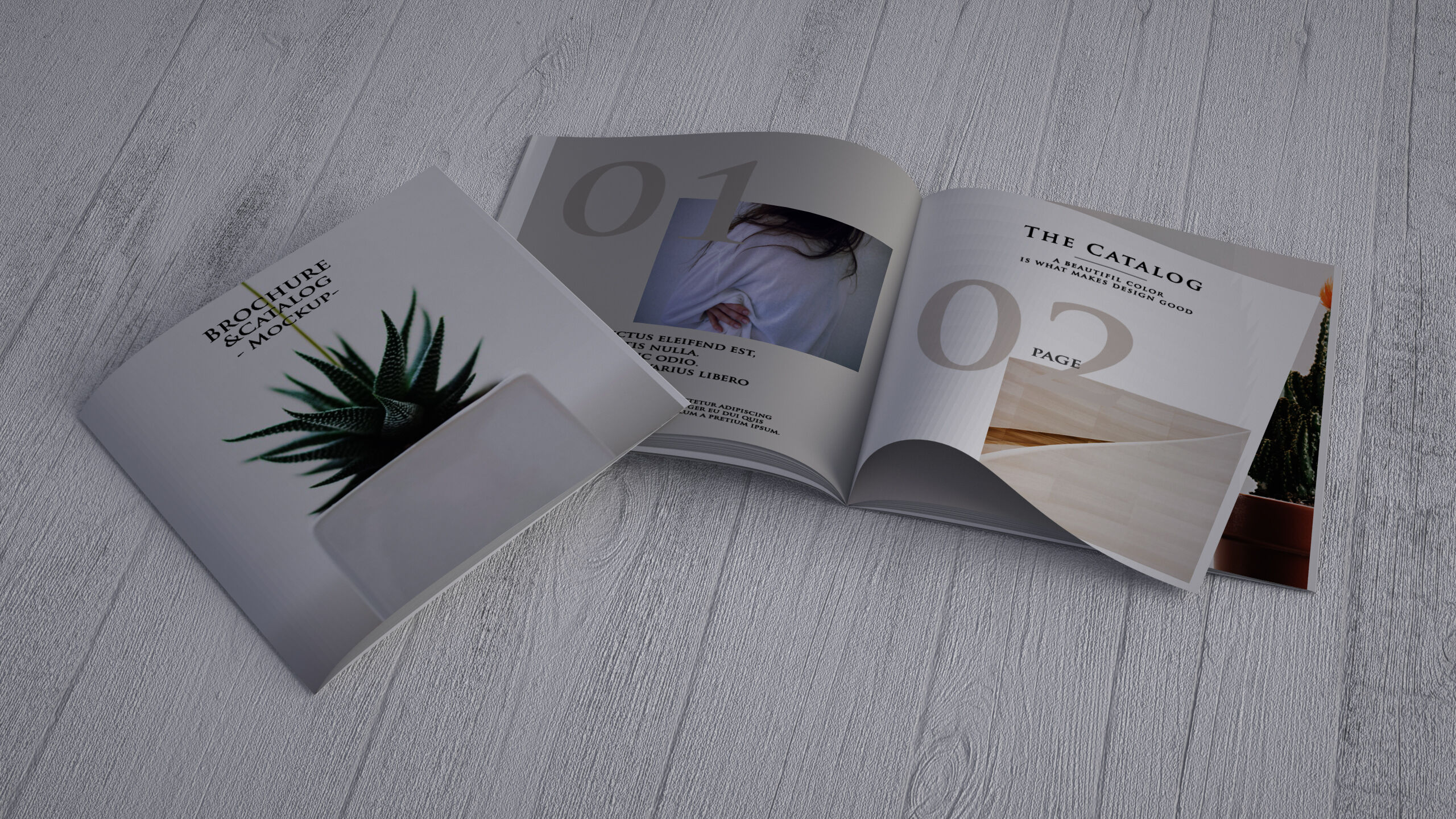 Top Side View of Two Square Catalogs on Wooden Surface preview