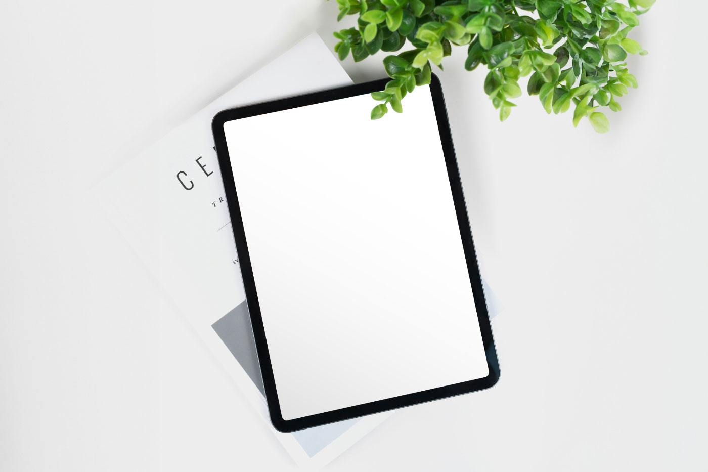 iPad Screen with Plant Mockup preview