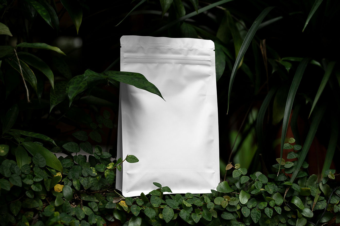 Foil Coffee Bag in Plants Mockup preview