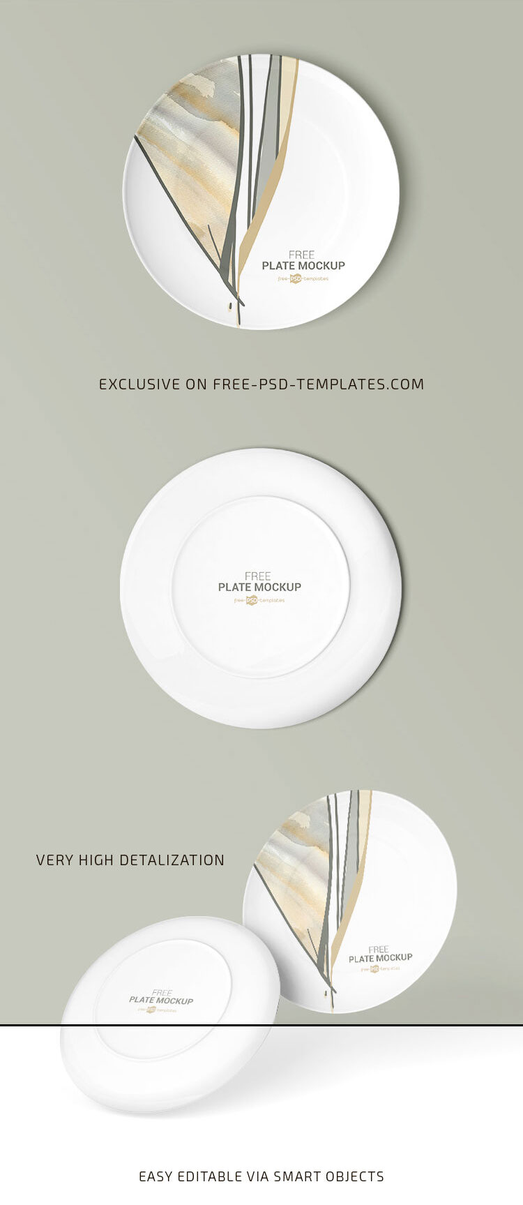 4 Mockups of Plates in Different Views and Positions