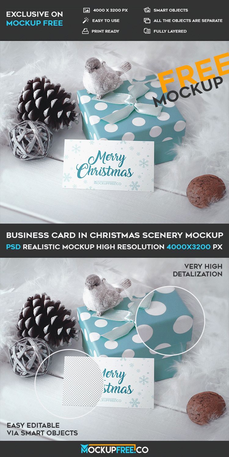 Horizontal Business Card Learning at the 3\4 Angle View Mockup