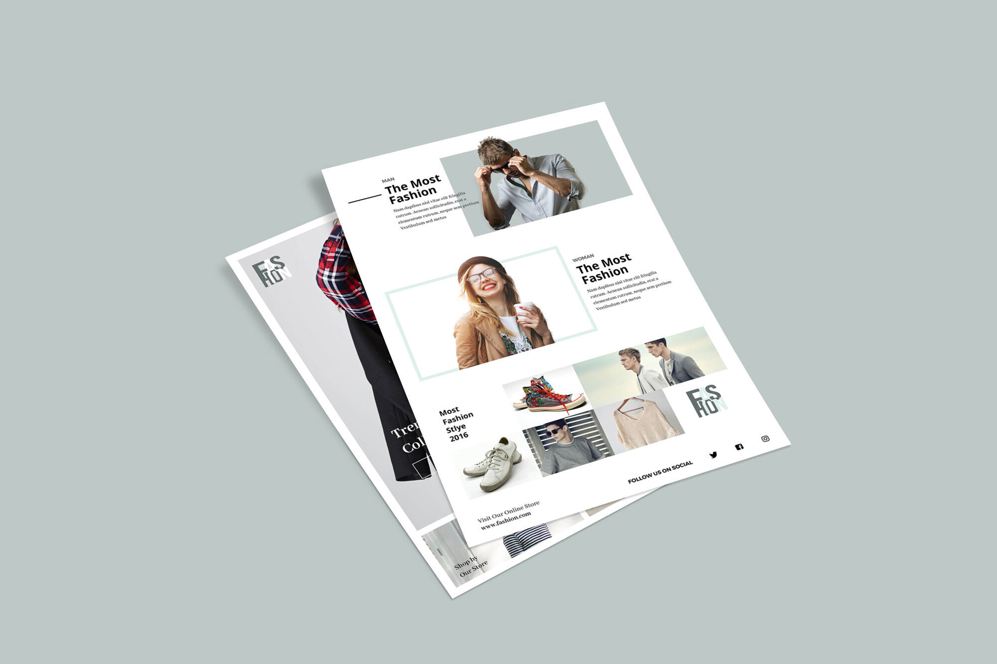 Two Standard Size Flyers Mockup preview