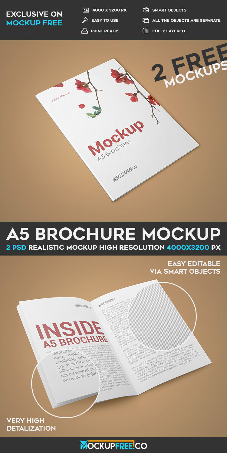 Two Mockups Showcasing A5 Brochure Cover and Inner Pages Outlook